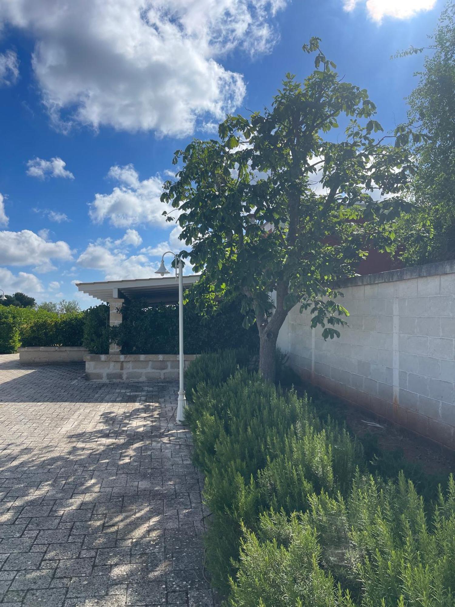 Masseria Don Bonifacio Castellana Grotte Zewnętrze zdjęcie